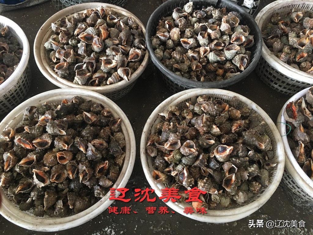 滨海海鲜批发市场营业时间,辽宁海边码头批发海鲜市场