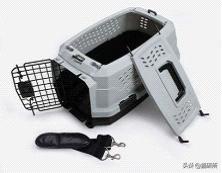 猫咪航空托运全面解析铲屎官必看,八大航空公司对于托运猫咪要求