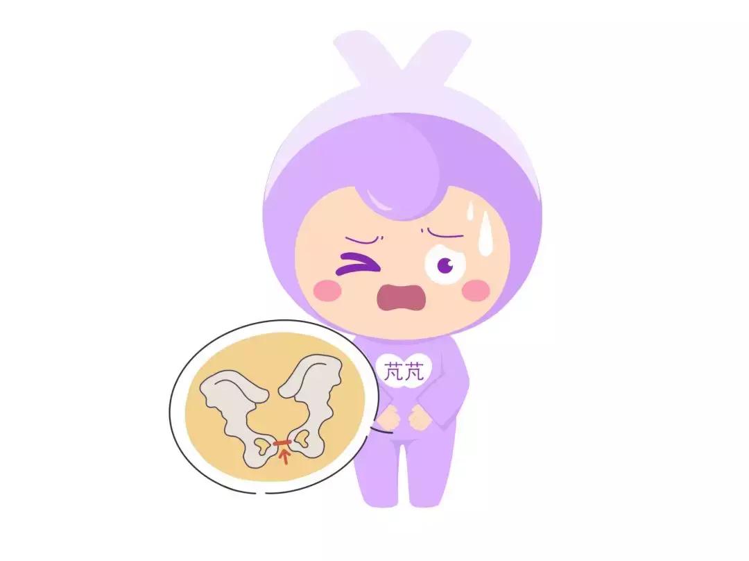 女人生完孩子盆底肌怎样恢复,女生育后盆底肌如何恢复