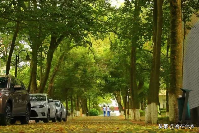 本港台播放过的动画,本港台曾经推出的纪录片