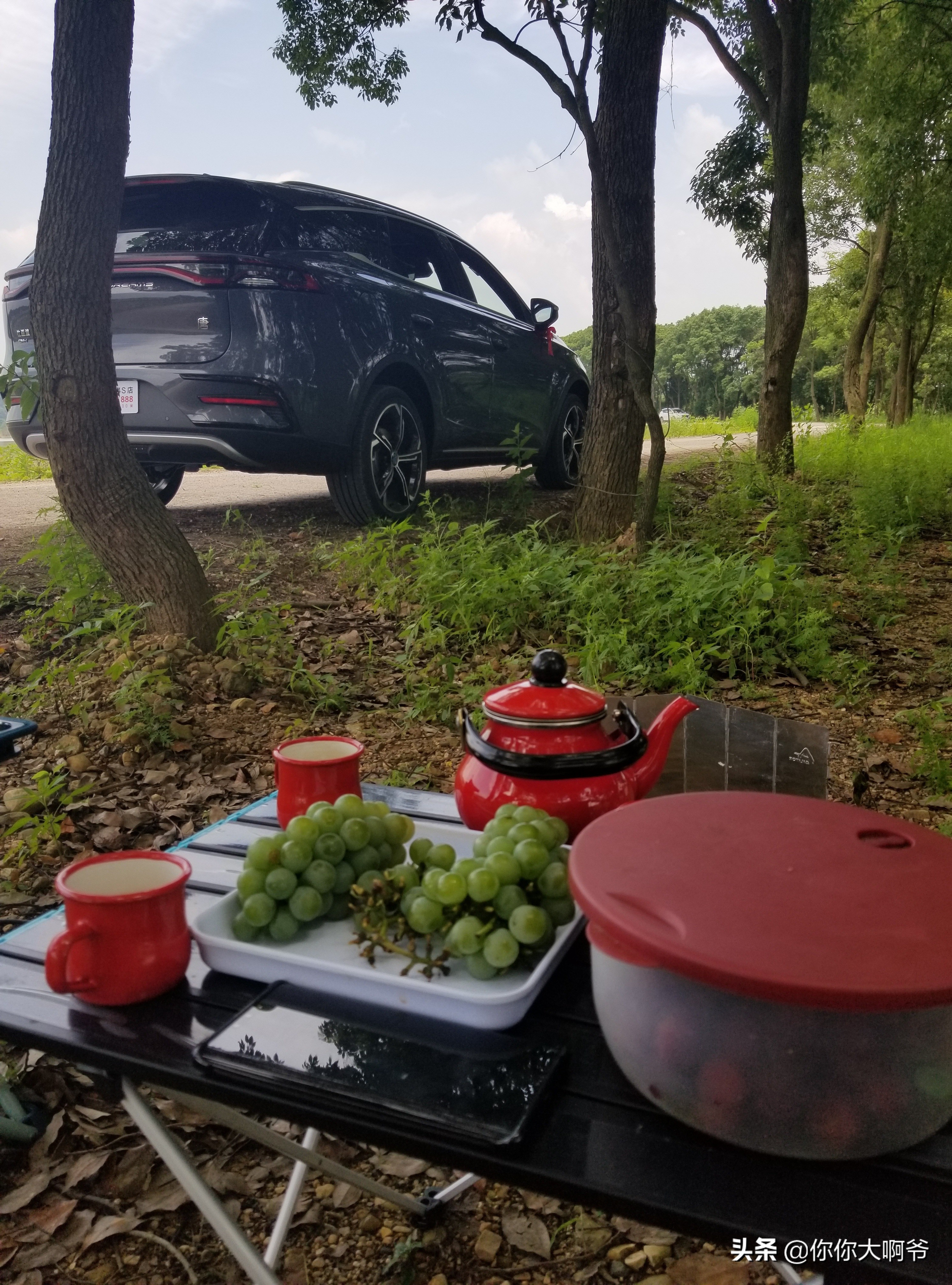 比亚迪唐dmi112km尊荣版赤地红,唐dmi冠军版200km尊享型评测