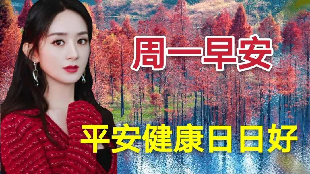 周一早安问候表情包,周末早上好表情包带字问候