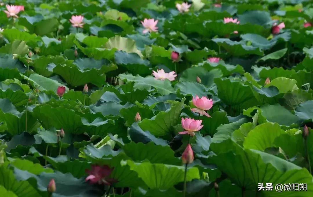 广西最好避暑的县城,广西那边热吗