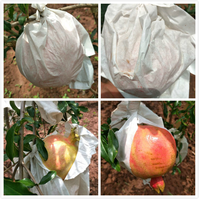 濂楄鐭虫Υ,鐭虫Υ濂楄鍜屼笉濂楄鐨勫ソ澶勪笌缂虹偣