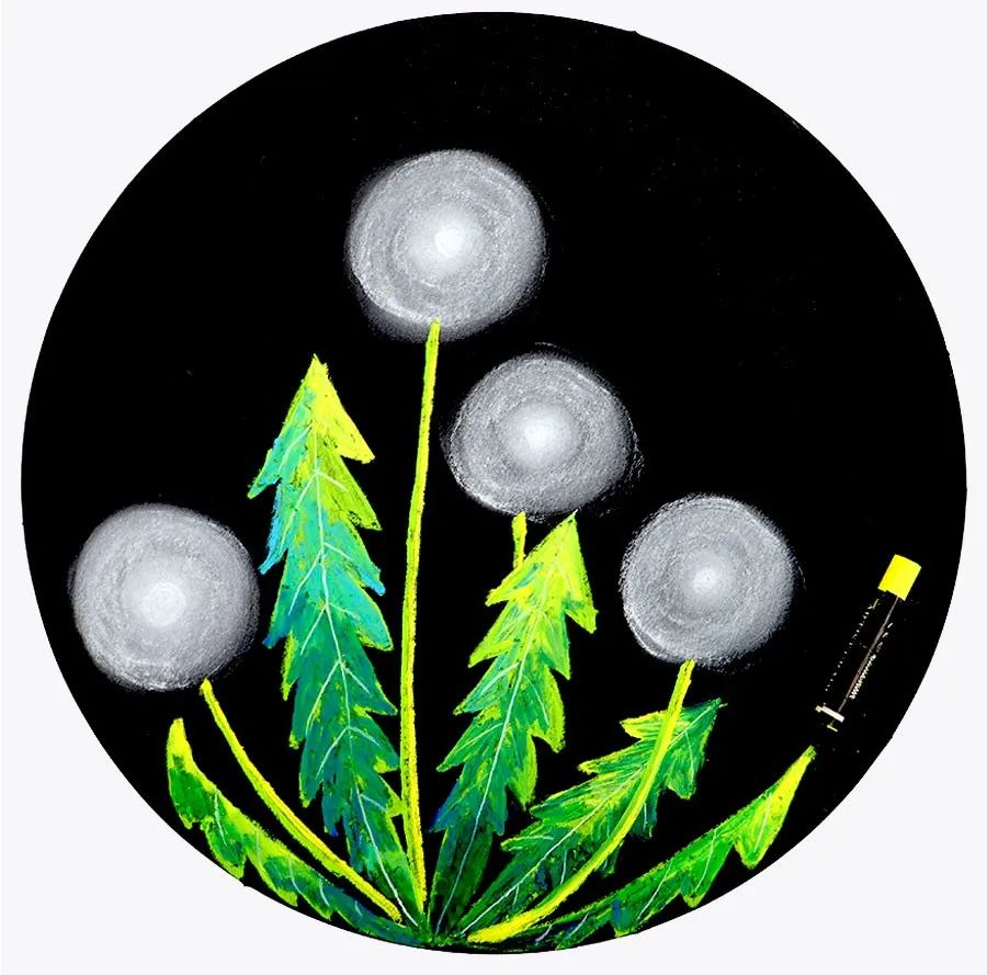 油画棒儿童画蒲公英,儿童画油画棒教程大全