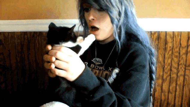 被猫咪调戏怎么办,猫咪被阿姨骚扰