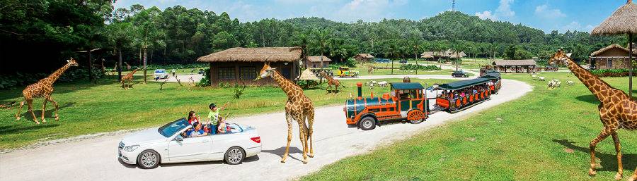 广州动物园对比下长隆野生动物园,广州长隆野生动物园必看项目介绍