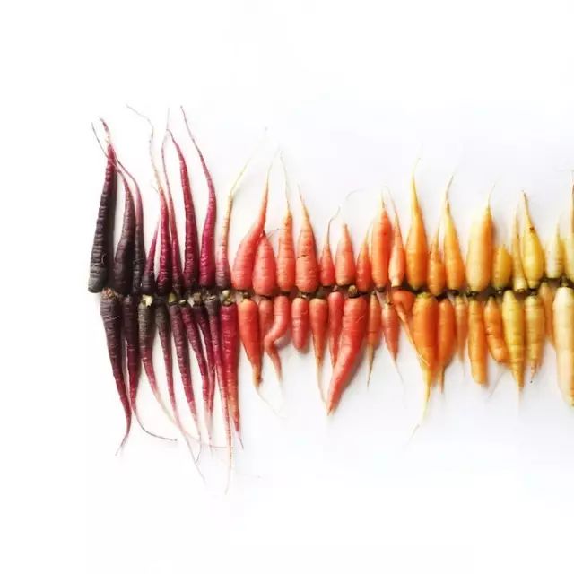 唯有美食治愈强迫症患者,强迫症吃各种美食