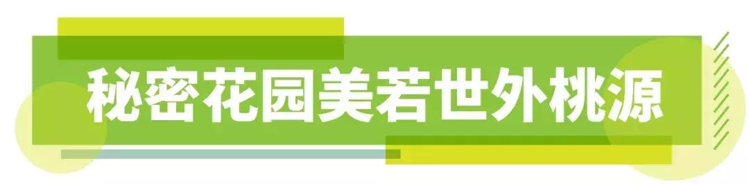 深圳「废弃染布厂」变废为宝，化身“湖畔花园”美若世外桃源！