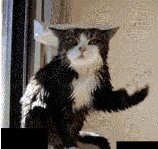 南方电网预防触电安全知识答案,触电知识安全常识