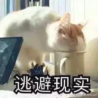 猫癣传染人如何才能治好,猫癣反复发作该怎么治疗