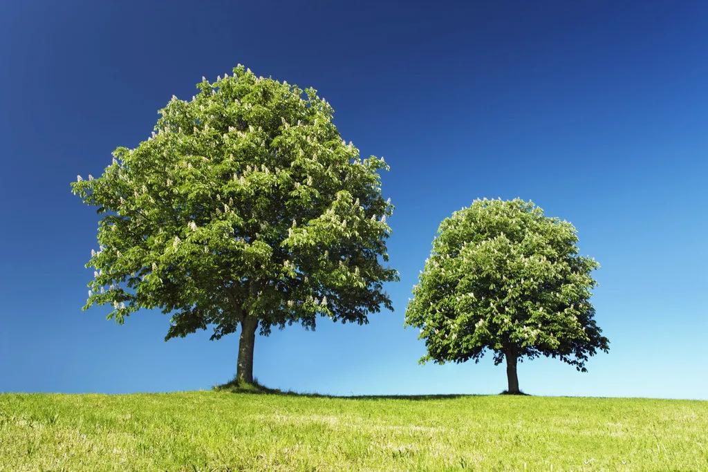 亲情永远藏在每个人的心间,亲情是永远割舍不断的爱