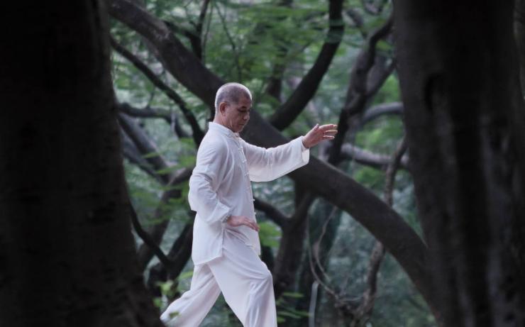 荷叶泡水喝能降脂和降压吗,荷叶和什么泡水喝减肥降脂最有效