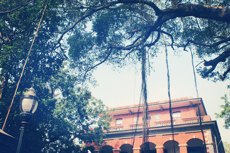 2023高考英语优秀作文,2023年高考英语作文预测高分必备