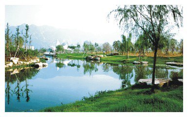 中考物理必考题讲解压强公式,中考物理考点速记压强