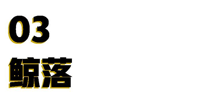 网红阿沁早期照片,刘阳回应阿沁出轨