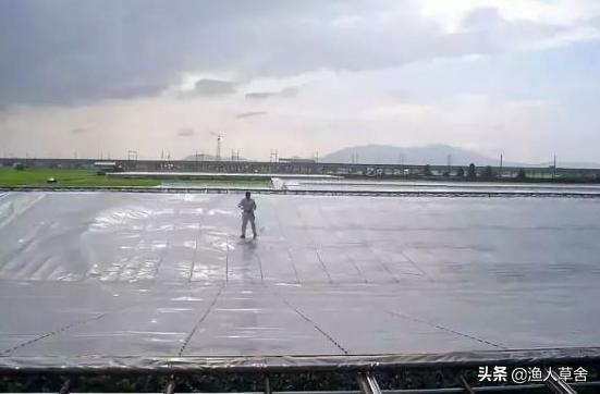 葡萄精细化管理,葡萄产业发展的问题及对策