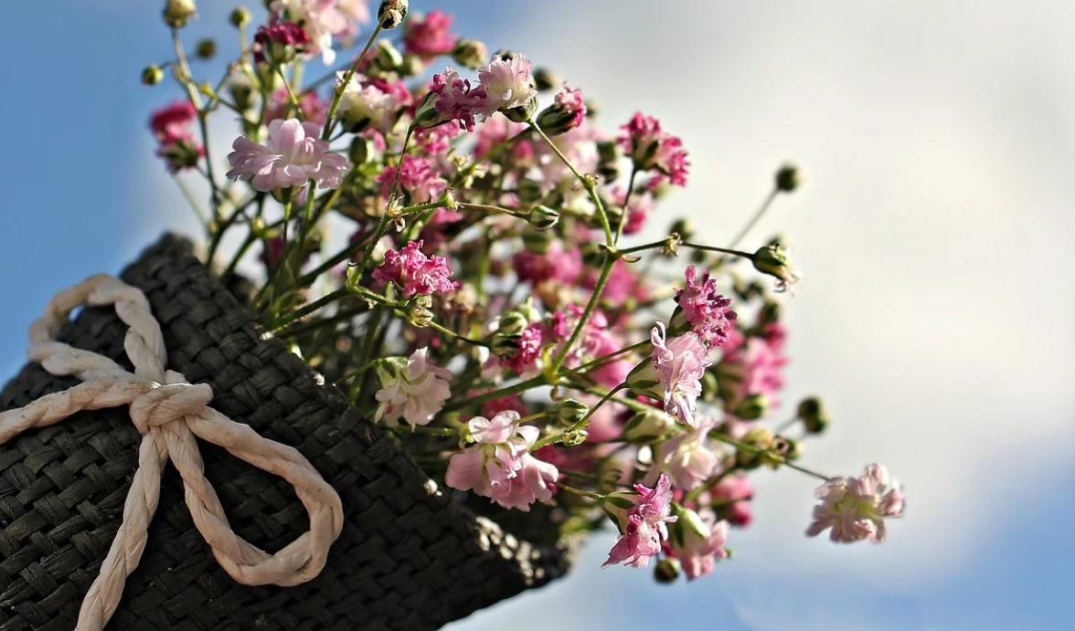 母亲背患病女儿求学12年,母亲背患病女儿求学十年