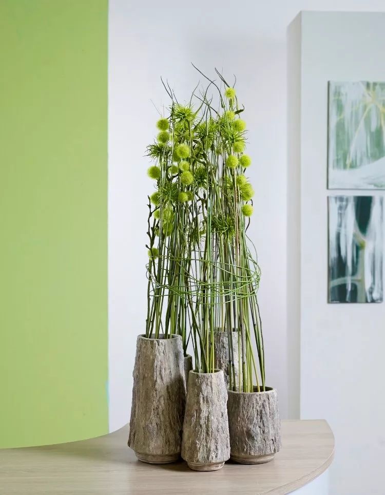 全球花艺播报最新战况,花艺发展趋势