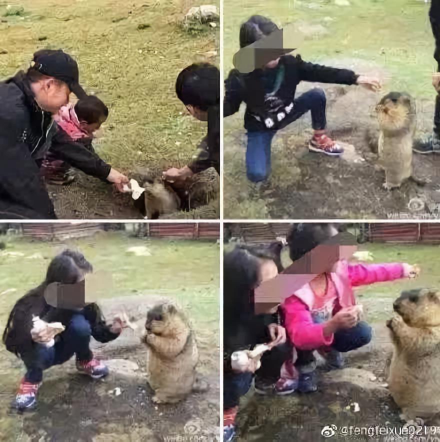 鼠疫有特效药吗,冀连梅药师简介