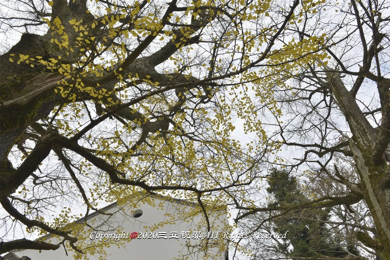 南岳衡山上面那个寺庙是真寺庙吗,南岳衡山各寺庙介绍