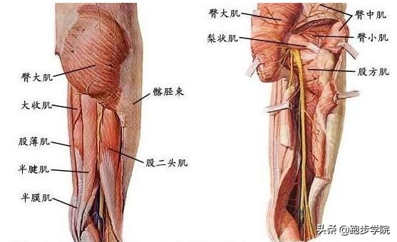 跑步机和路跑哪个锻炼效果好,跑步机和路跑哪个更消耗能量