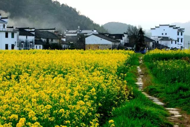 怀念春日的诗句古诗,七首必读的春日诗句