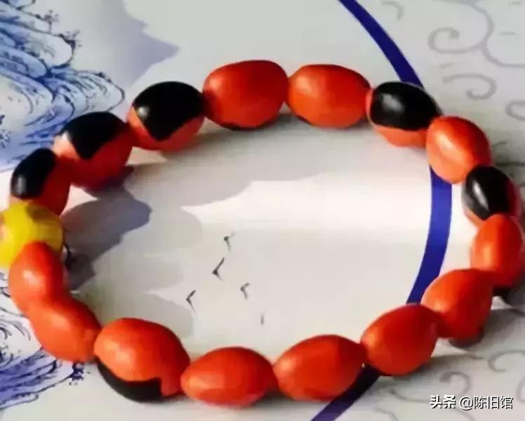 最值得玩的菩提子,真正的菩提子