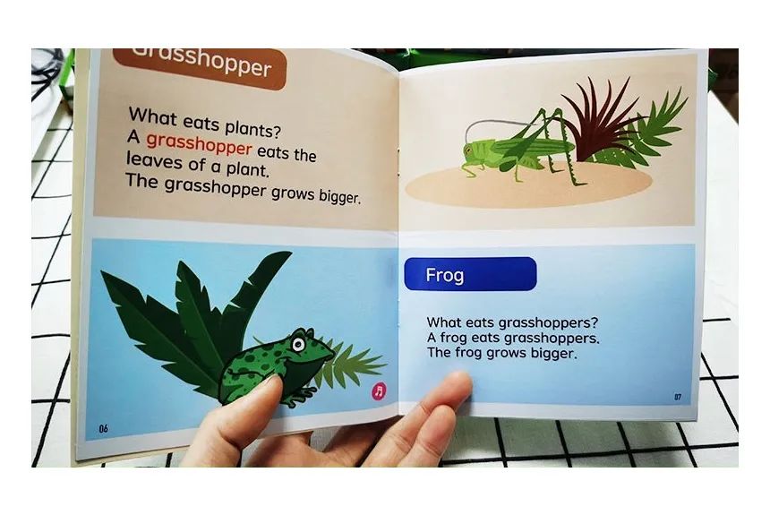 4级英语阅读理解答案分布,英语各个分级阅读的区别