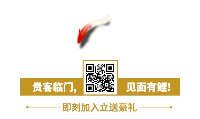 如何使用购物金付款,如何用充值卡付款