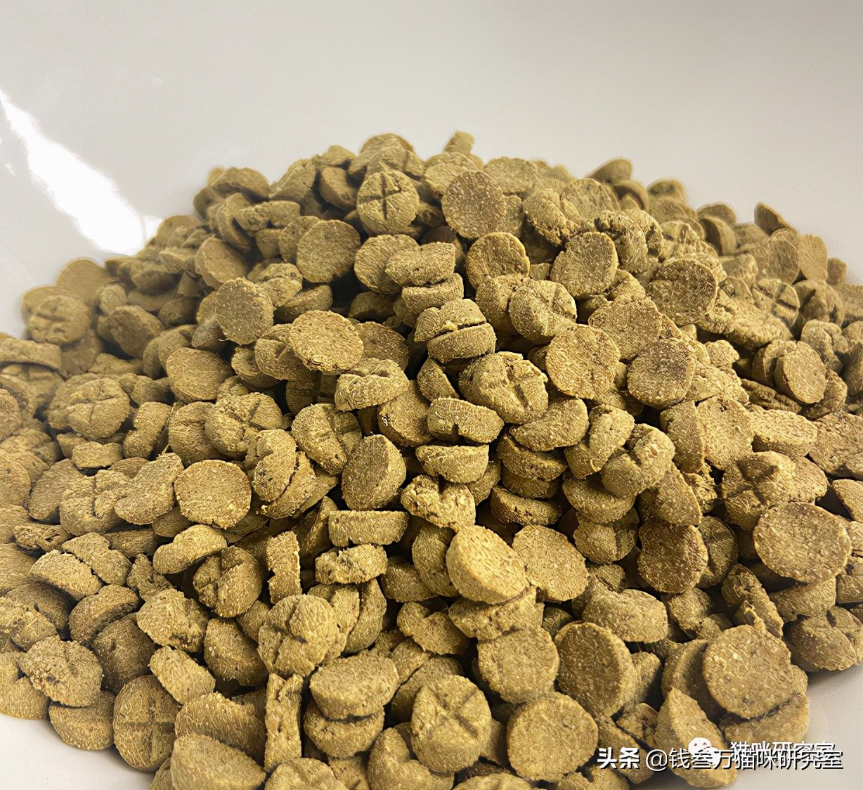 鲜朗烘焙狗粮旗舰店直播,鲜朗烘焙狗粮好还是猫粮好