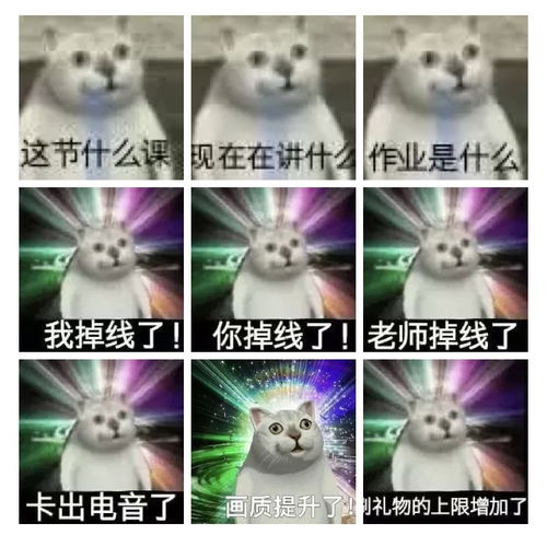 22年钉钉网课,钉钉网课的优缺点