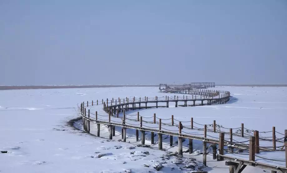 下雪后的海边图片大全,六月份的红海滩