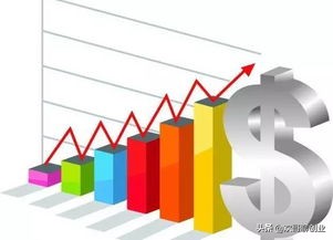 创业需要懂财务还是税务,创业投资视野