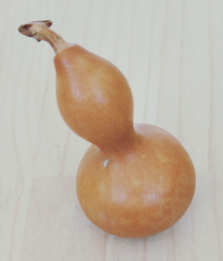 小学手工创作作品,爱手工爱生活创作