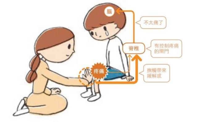 疼痛处可以用手拉扯排毒止痛吗,疼痛可以用按摩来缓解吗