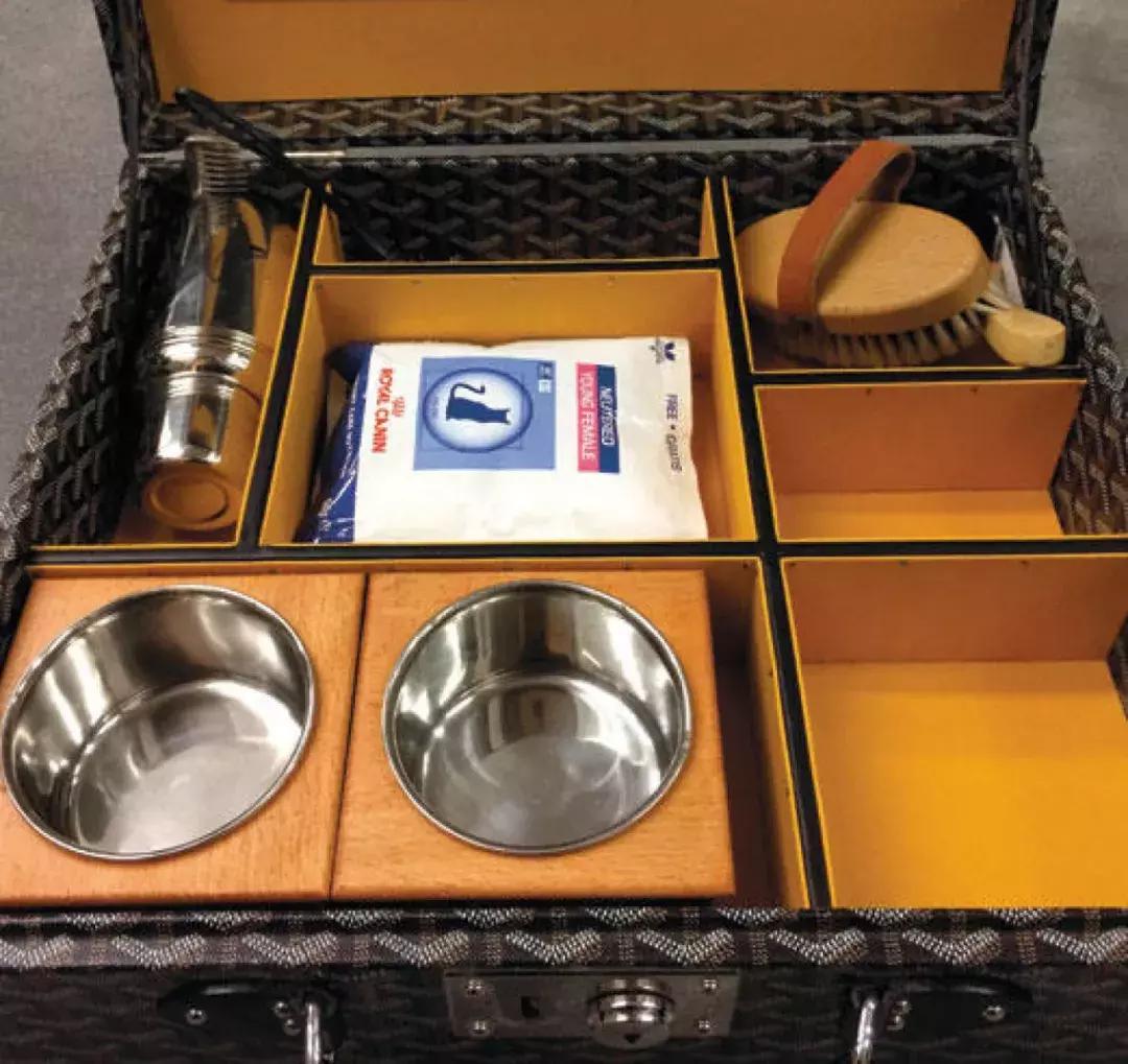 老佛爷去世，他那只年挣300万欧元的猫将继承他的遗产？！