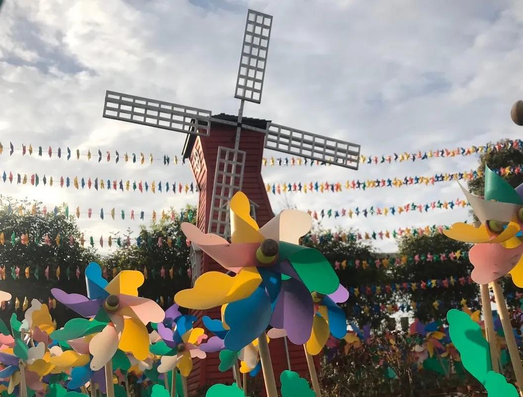 春暖花开来农村踏青,春暖花开亲近大自然来一场野炊