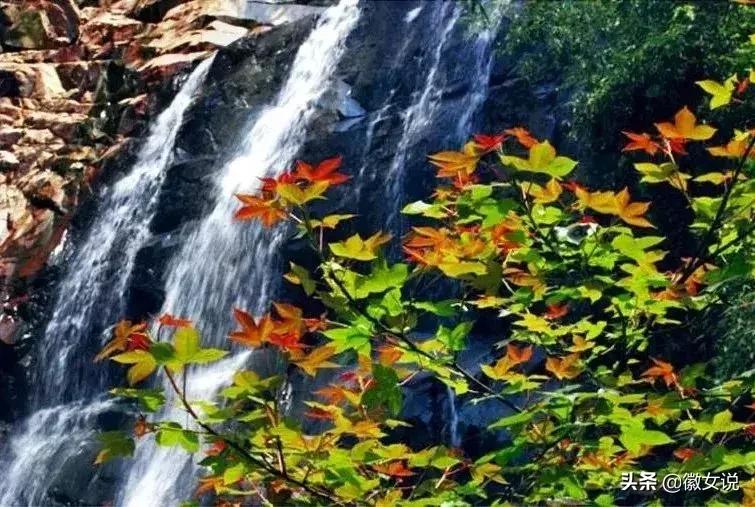 开挂名场面霸气侧漏,开挂帅气视频