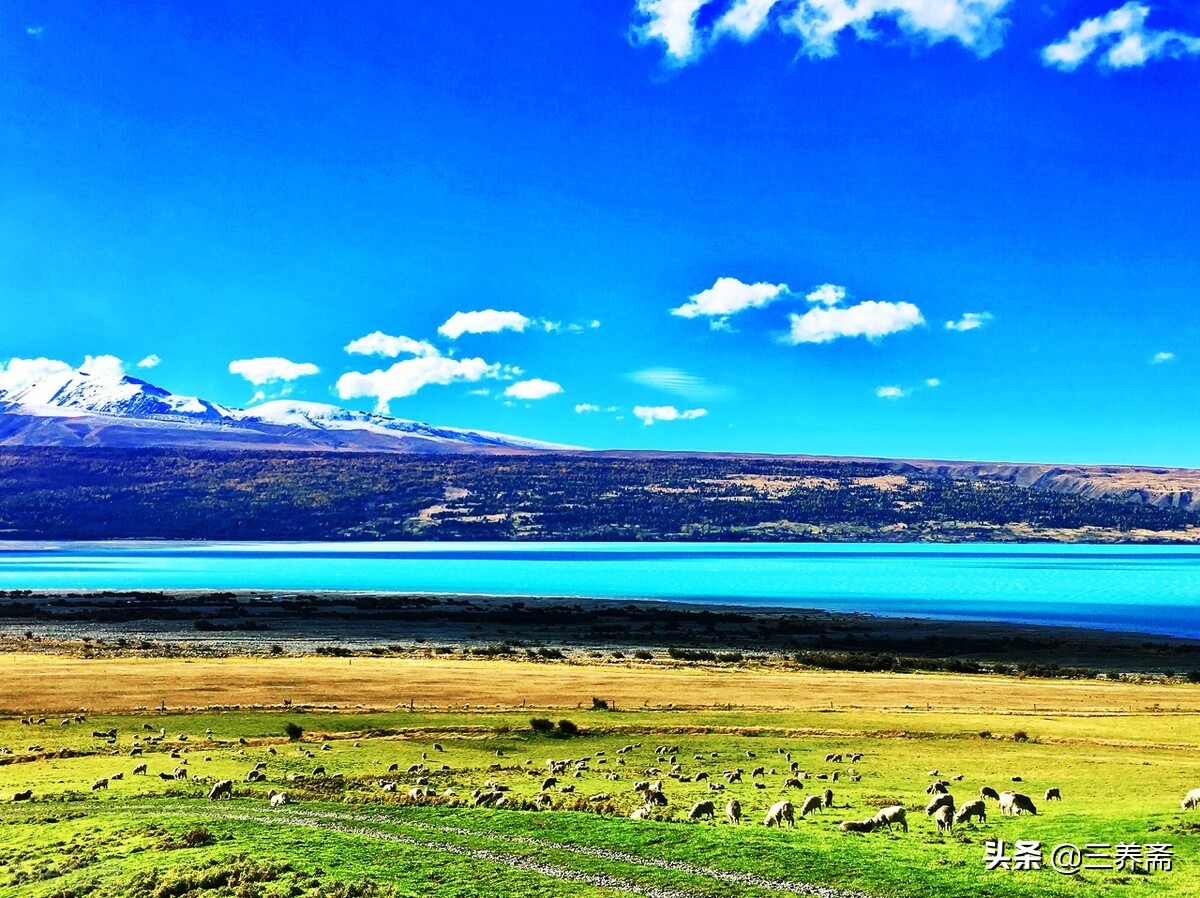 《敕勒歌》古诗背诵,小学生必背古诗词75首敕勒歌译文