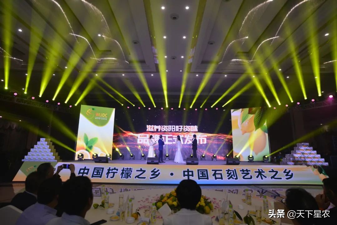 天下星农：如何让一个区域公用品牌市场化？（下篇）