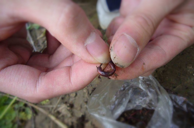 饵料用不完，就别再扔了，这才是最佳的处理方式，十之八九你不知