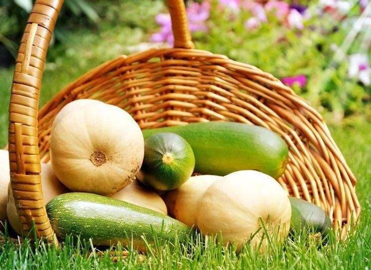 阿里腾讯为什么这么厉害,阿里和京东的盈利能力