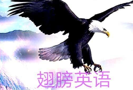 50组易混淆词组,80个单词短文速记