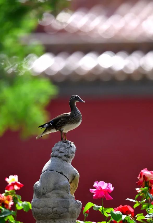 李阳民撰七律,李养民古诗