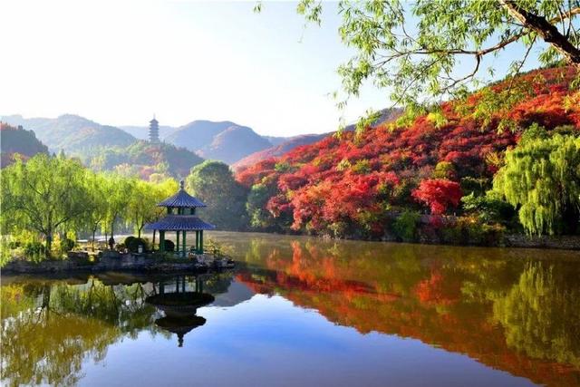 济南旅游景点推荐带孩子玩,济南旅游景点推荐适合带孩子