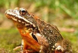 吃住最便宜的南方养老城市,中国最适合养老的城市物价又便宜