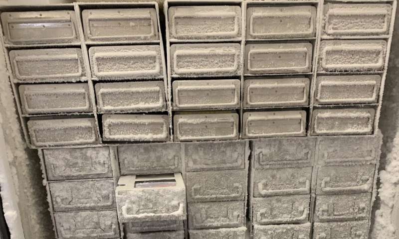 噬菌体疗法治疗患有耐药性细菌感染的患者