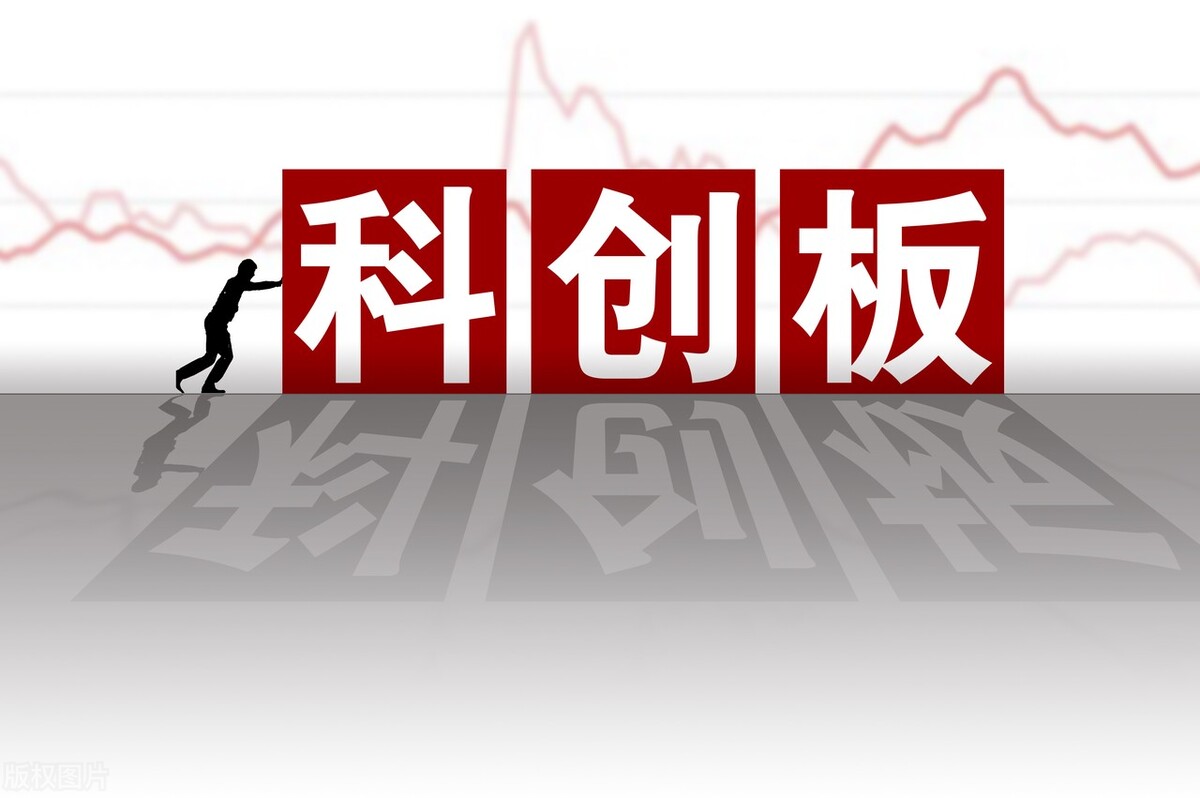 航运股暴涨,航运股爆发