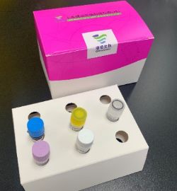 新冠病毒的狡猾在哪里,新型冠状病毒最准确的检测方法